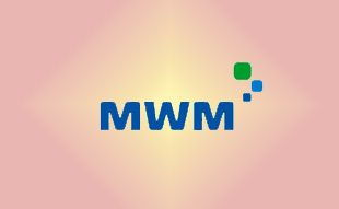 ✓ MWM 0292 2495 Запчасть MWM 